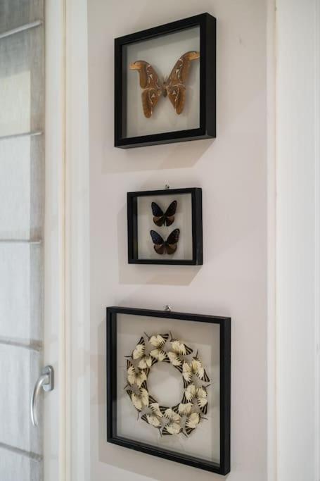 בולוניה Casa Delle Farfalle מראה חיצוני תמונה